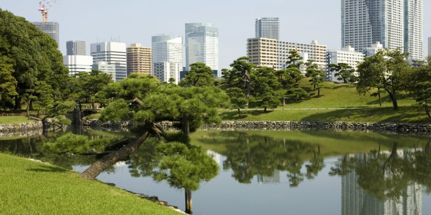 Hamarikyu-trädgården