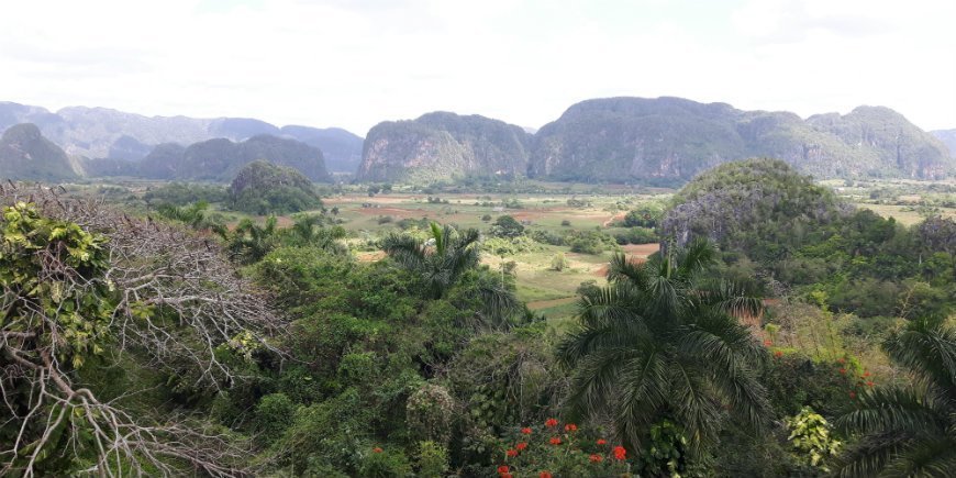 Vinales