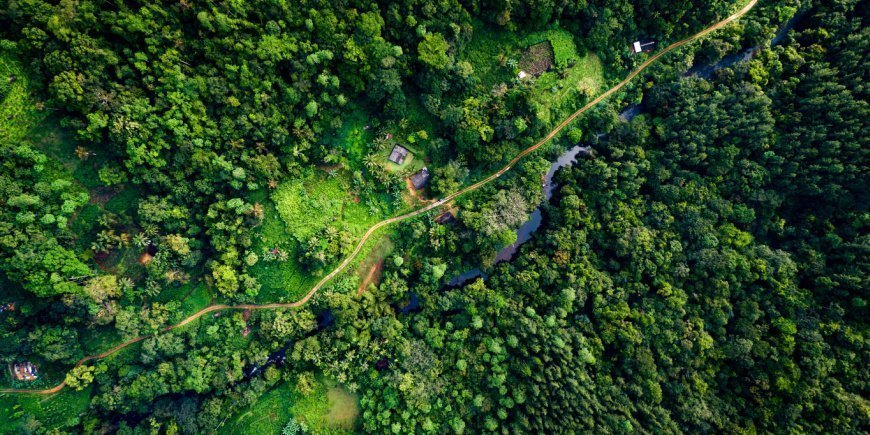 Luftfoto över Sinharaja Forest Reserve i Sri Lanka 