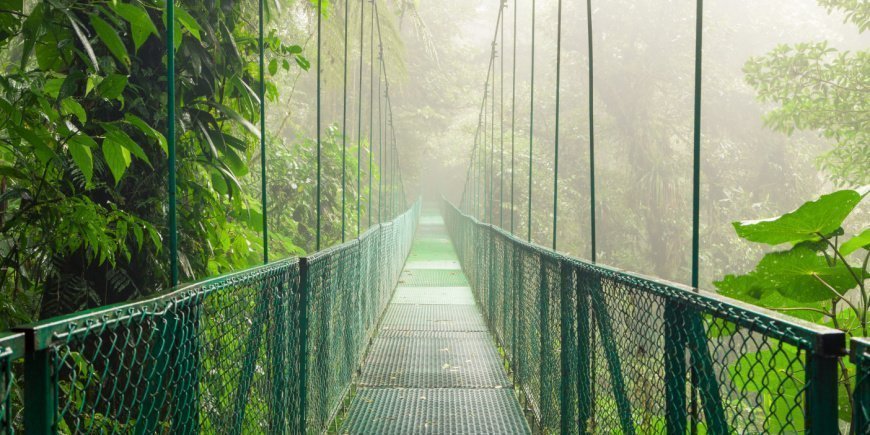 Hängbro i Monteverde