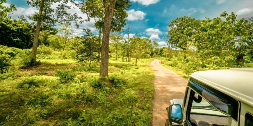 Jeepsafari i Sri Lanka nationalpark