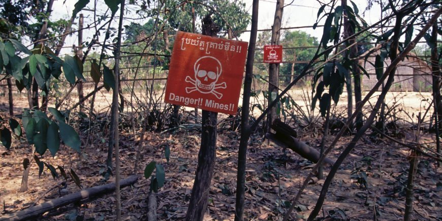 Cambodia Landmine Museum