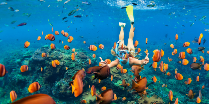 Snorkling i Bali