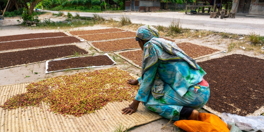 Kvinna i en lokal by som sorterar kryddor 