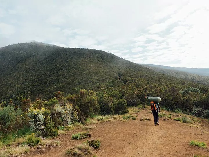 Arbetsförhållanden för guider och bärare, Kilimanjaro