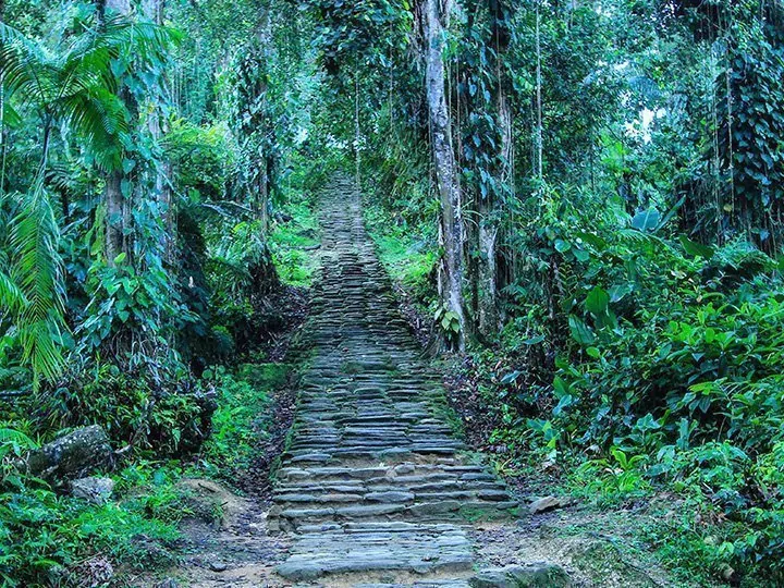 Vandring till Lost City, Colombia