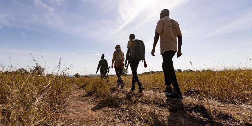 Grupp av människor som går på savannen i Tanzania