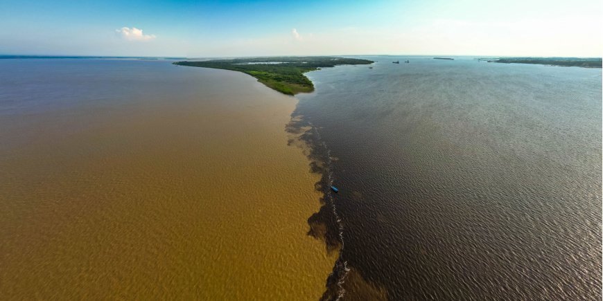 Floderna möter varandra i Amazonas i Brasilien