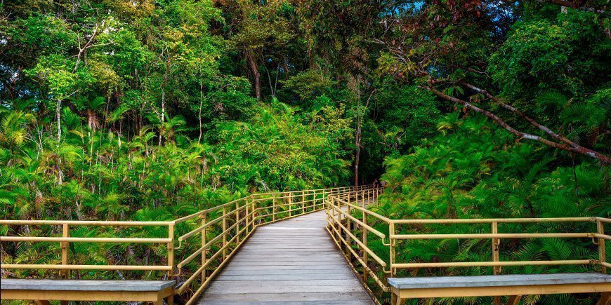 En stig till Manuel Antonio i Costa Rica