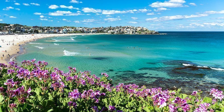 Blommor blommar på Bondi Beach i Sydney, Australien