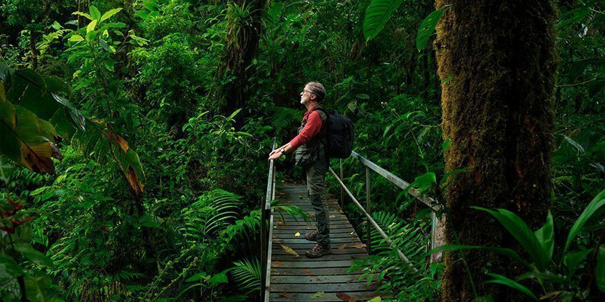 Man står på en bro i Costa Ricas djungel