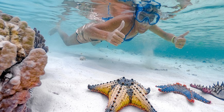 Kvinna snorklar i Zanzibar och hittar sjöstjärna