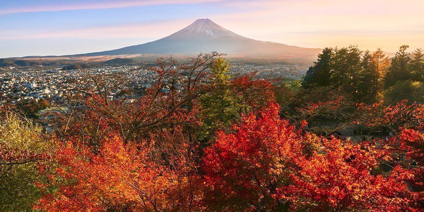Höstfärger och utsikt över berget Fuji i Japan.