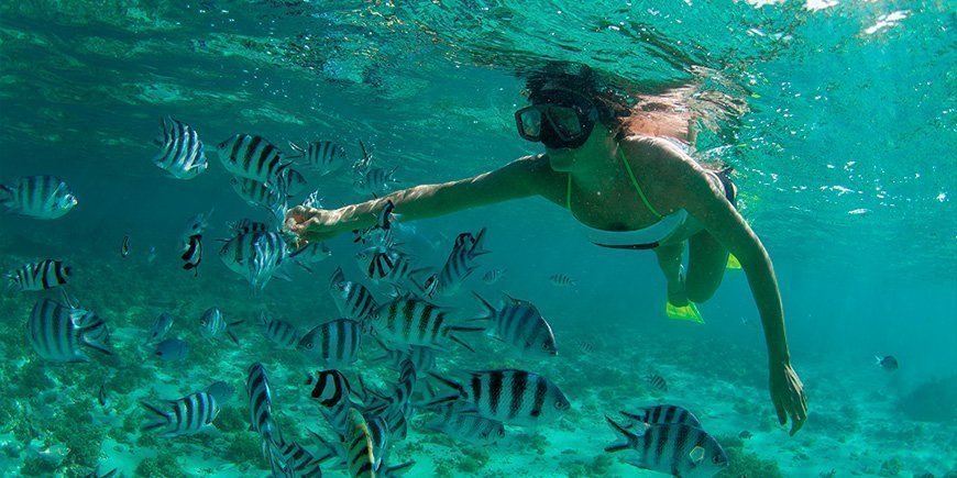 Kvinna snorklar i Indiska oceanen utanför Mauritius.