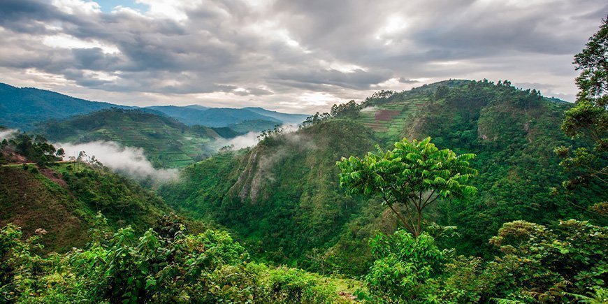 Bwindi Impenetrable nationalpark sedd ovanifrån