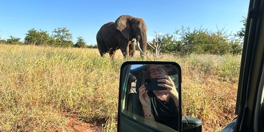 Kvinna tar foto av elefant från bil