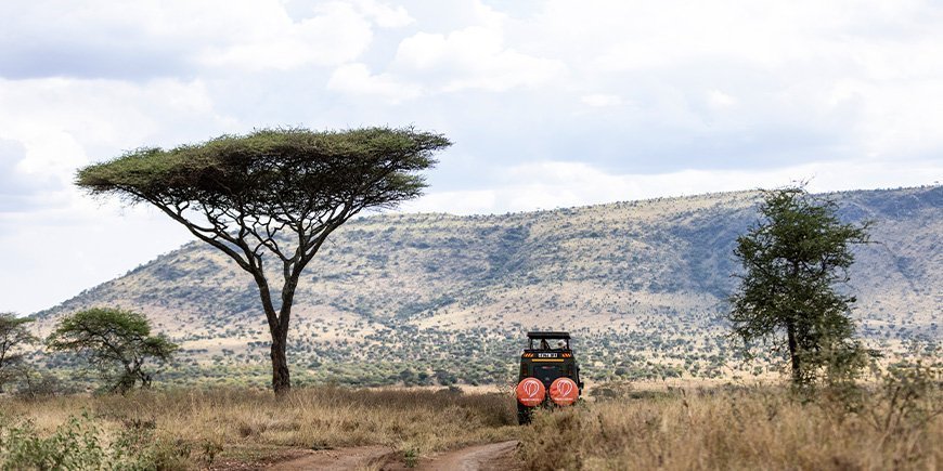 Safari med jeep i landskapet i Tanzania