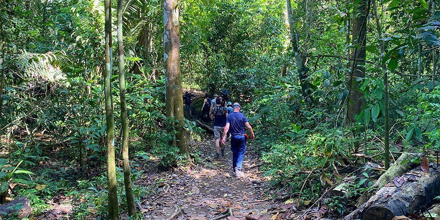 En grupp människor vandrar i Corcovado nationalpark i Costa Rica