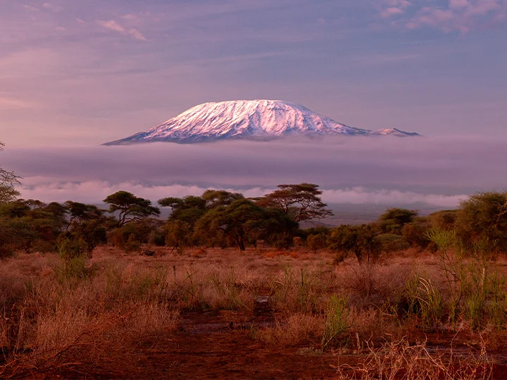 Safari i Amboseli nationalpark & solsemester vid Mombasa