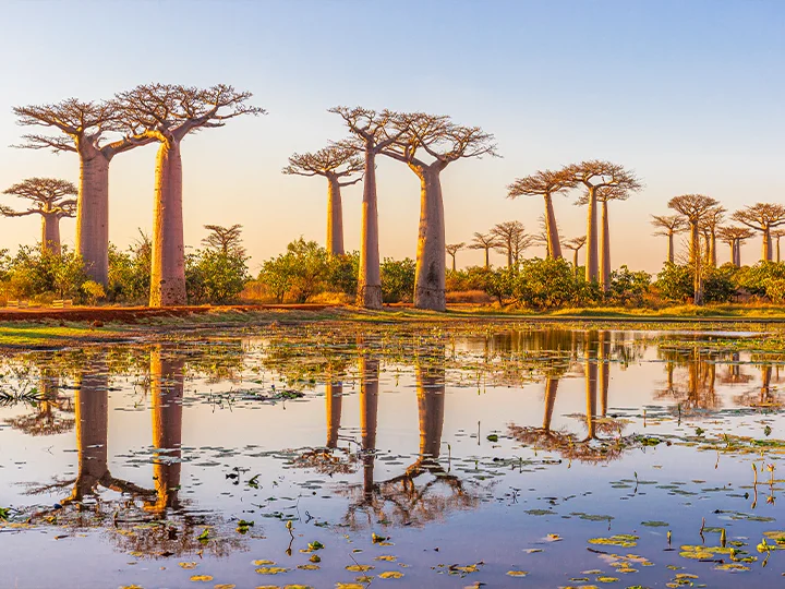 Kenya & Madagaskar