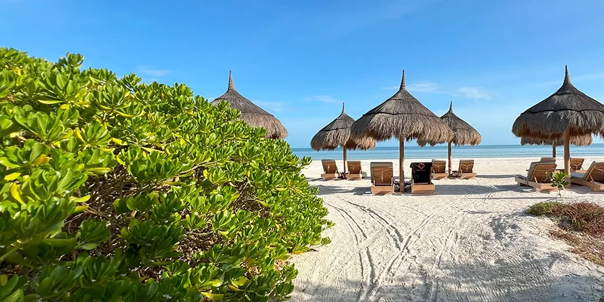 Strandstolar med utsikt på Isla Holbox