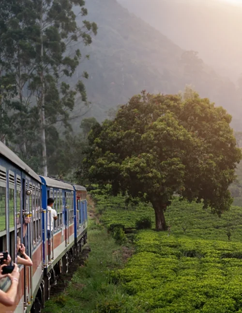 Sri Lankas kultur och natur & solsemester i Trincomalee