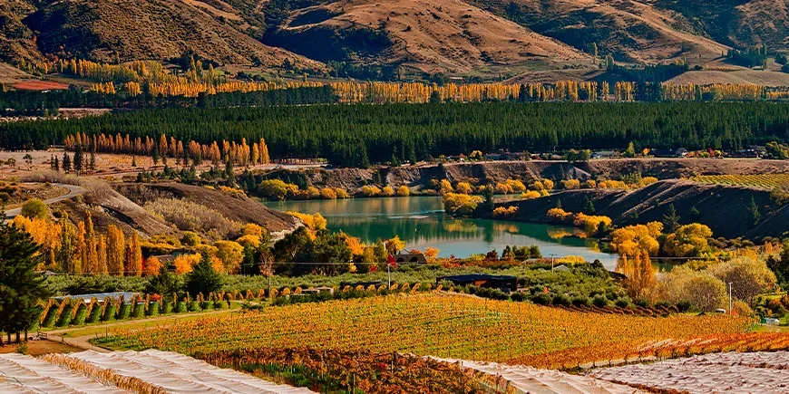 Central Otago i höstskrud