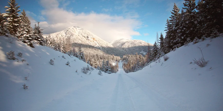 Vinterlandskap i Rocky Mountains