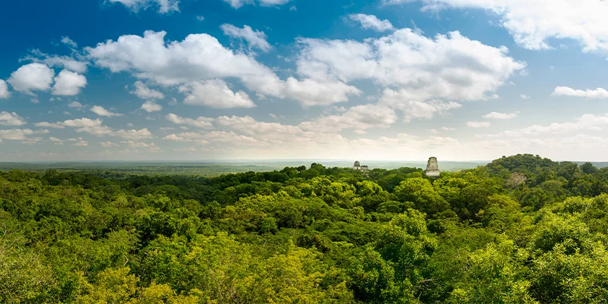 Överblick över Tikal nationalpark med ruiner och regnskog