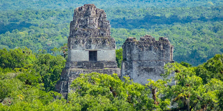 Ruiner tornar upp sig över regnskogen i Tikal nationalpark i Guatemala