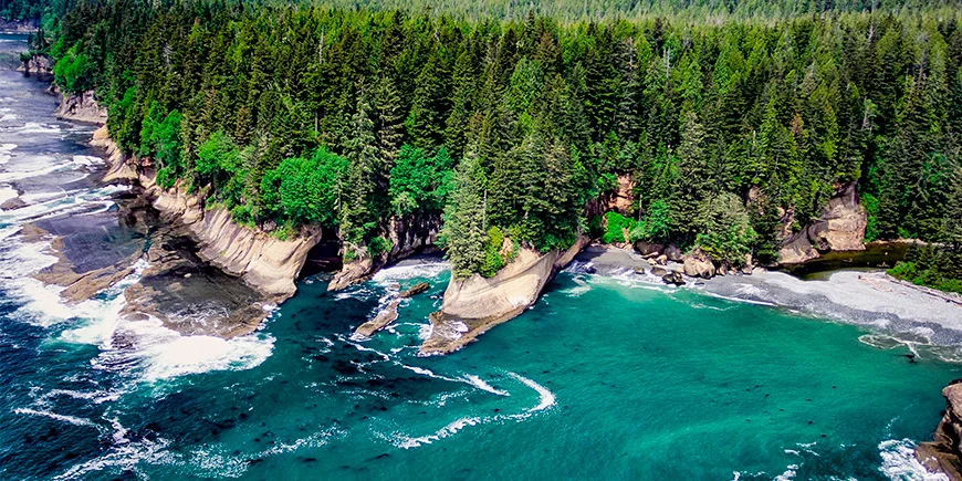 Pacific Rim på Vancouver Island i västra Kanada