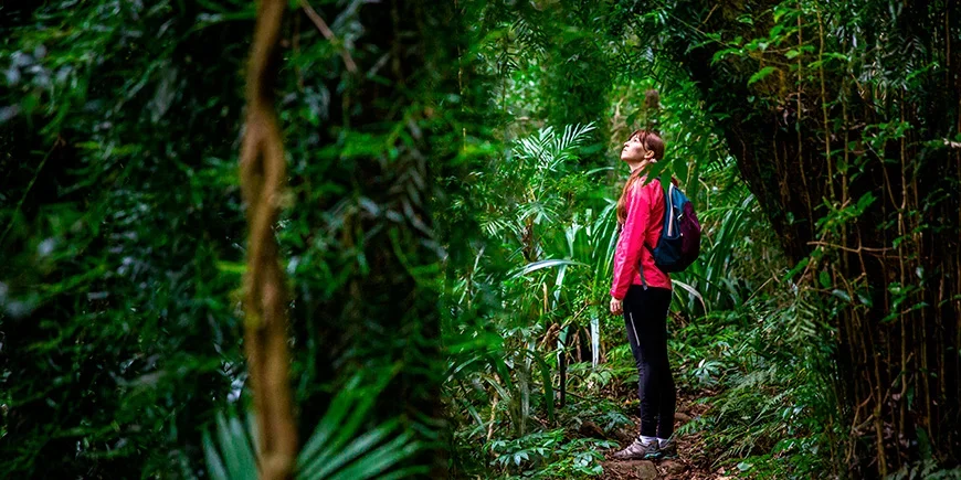 Kvinnor utforskar Lamington nationalpark i Australien
