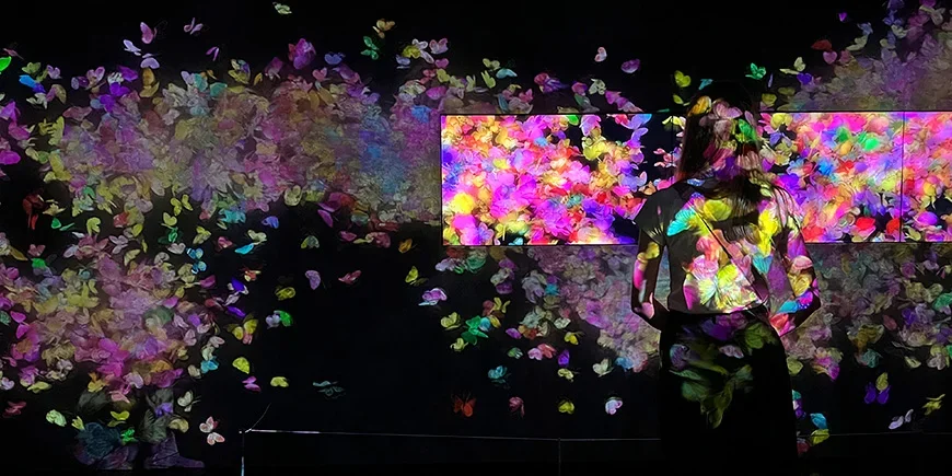 Rosa ljusshow på TeamLab Borderless