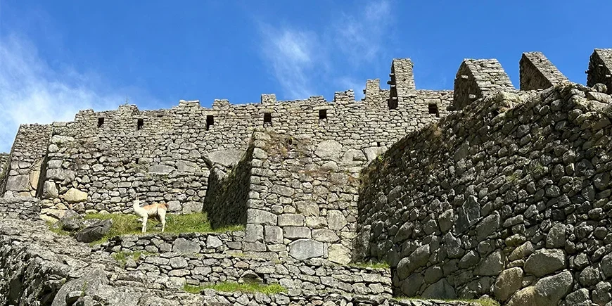 Nära ruinerna vid Machu Picchu