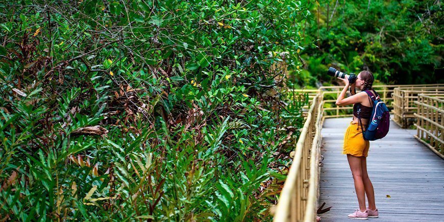 Ung kvinna som tar bilder i Manuel Antonio National Park i Costa Rica