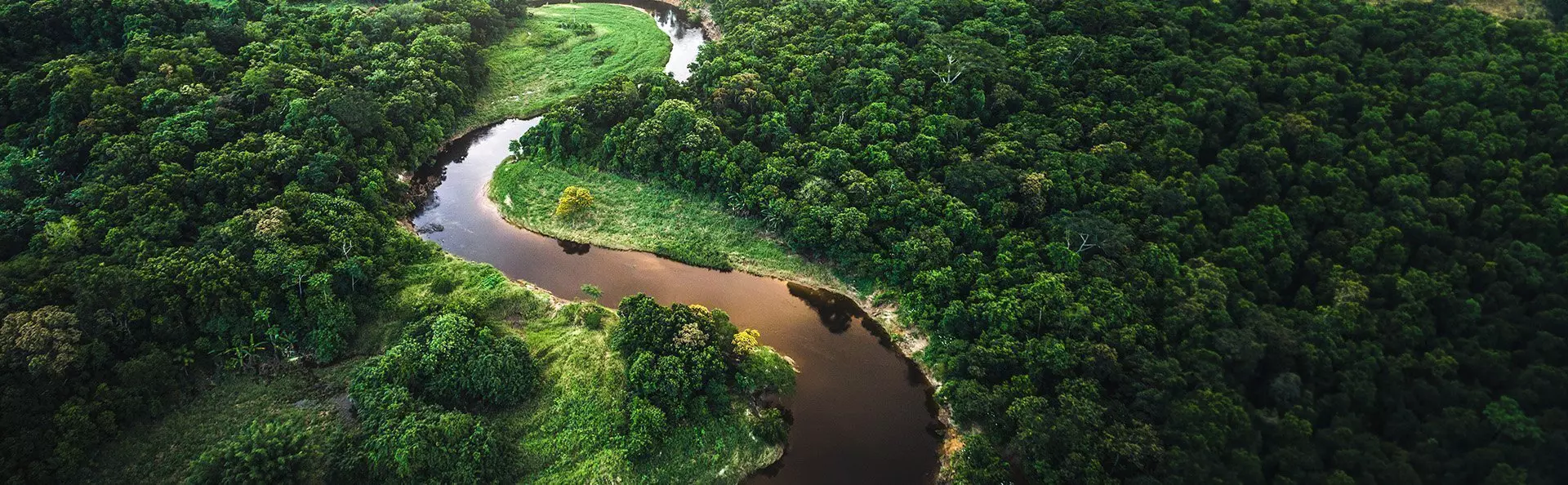 Flygfoto över Amazonas regnskog i Manaus i Brasilien