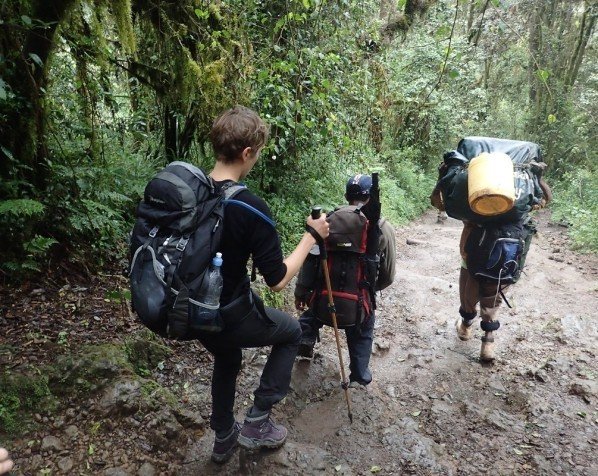 Vandring nedför Kilimanjaro
