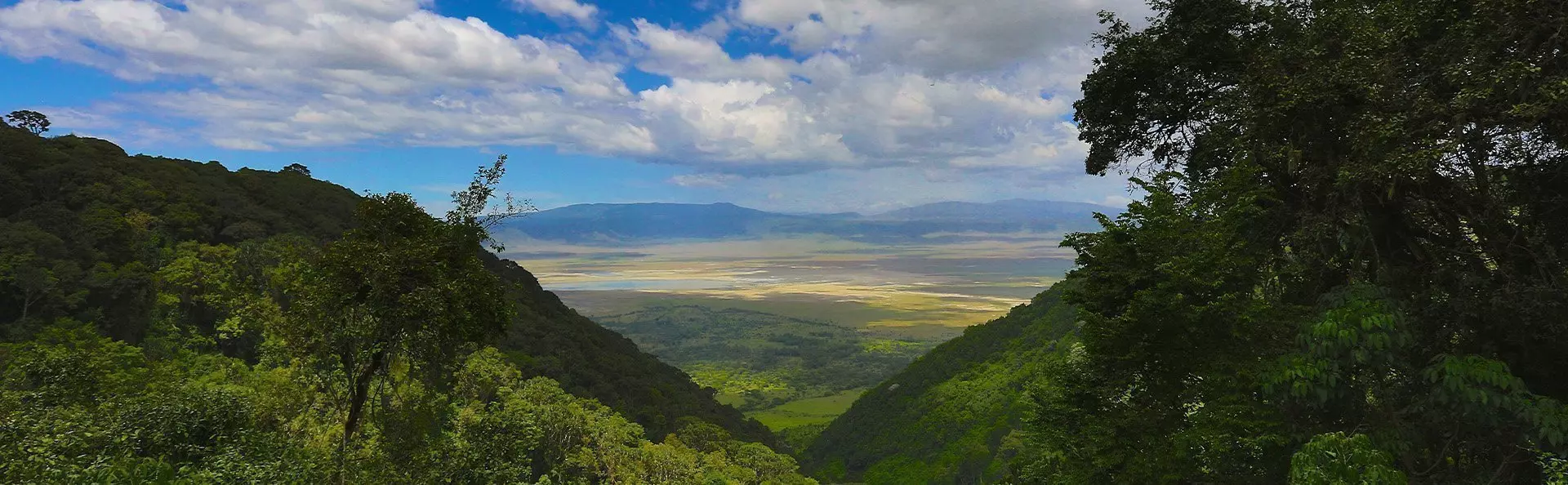 Översiktsbild från Ngorongoro i Tanzania