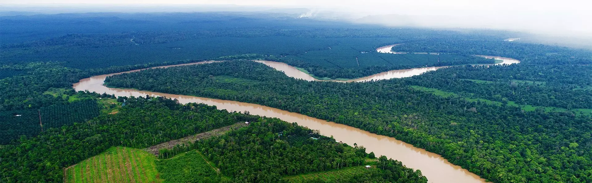 Utsikt över floden Kinabatangan i Borneo