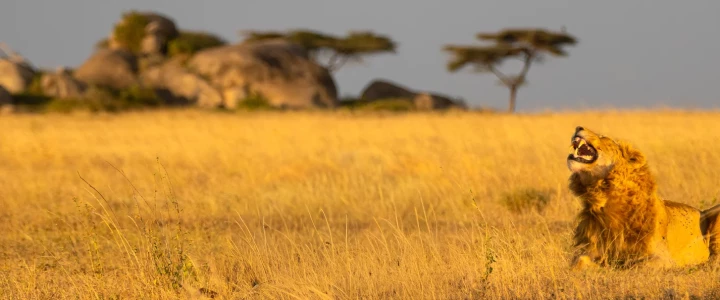 Tanzania