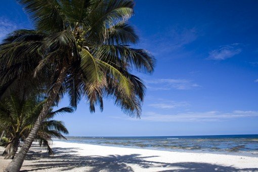 De kritvita stränderna i Mombasa