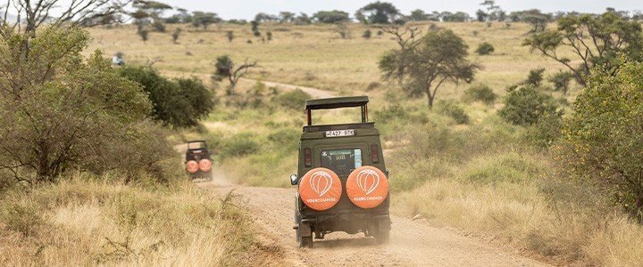 De bästa safariländerna i Afrika