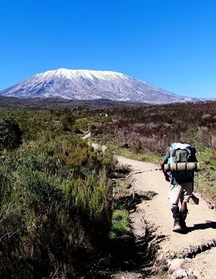 Vandrare i snön på Kilimanjaro