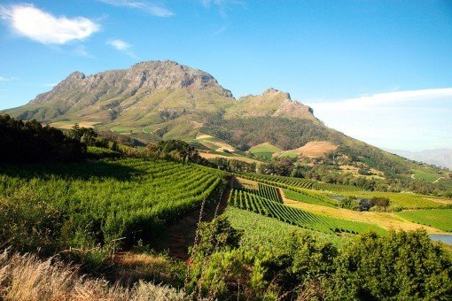Utanför Kapstaden finns det vackra utsikter över vinodlingar och berg